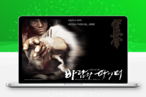 韩国动作片《风斗士》解说文案完整版